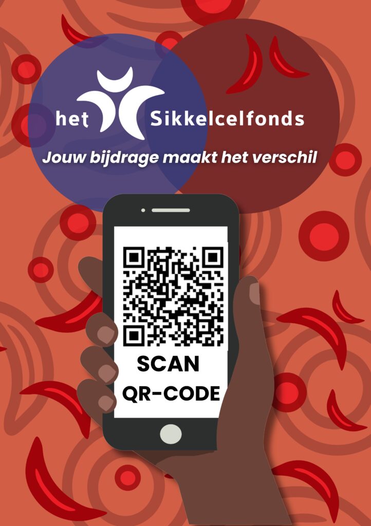 QR Code visual